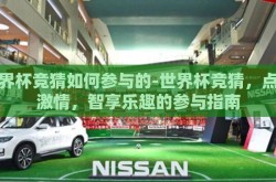 世界杯竞猜如何参与的-世界杯竞猜，点燃激情，智享乐趣的参与指南