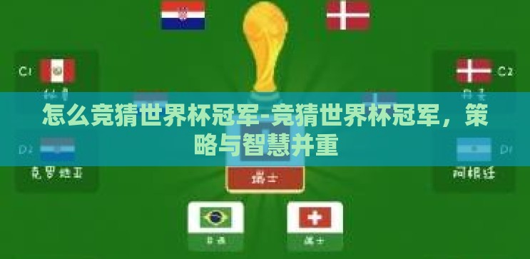 怎么竞猜世界杯冠军-竞猜世界杯冠军，策略与智慧并重
