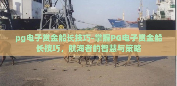pg电子赏金船长技巧-掌握PG电子赏金船长技巧，航海者的智慧与策略