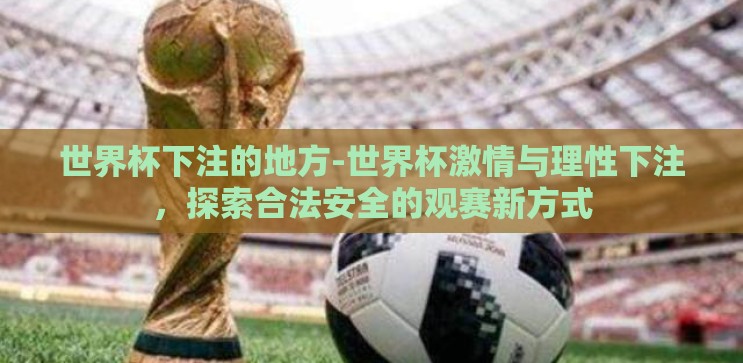 世界杯下注的地方-世界杯激情与理性下注，探索合法安全的观赛新方式