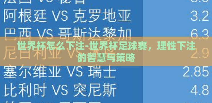 世界杯怎么下注-世界杯足球赛，理性下注的智慧与策略