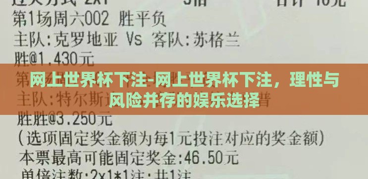 网上世界杯下注-网上世界杯下注，理性与风险并存的娱乐选择