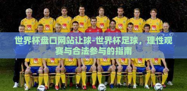 世界杯盘口网站让球-世界杯足球，理性观赛与合法参与的指南