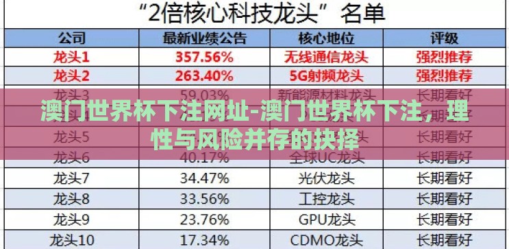 澳门世界杯下注网址-澳门世界杯下注,理性与风险并存的抉择 澳门世界杯下注网址-澳门世界杯下注,理性与风险并存的抉择