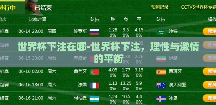 世界杯下注在哪-世界杯下注，理性与激情的平衡