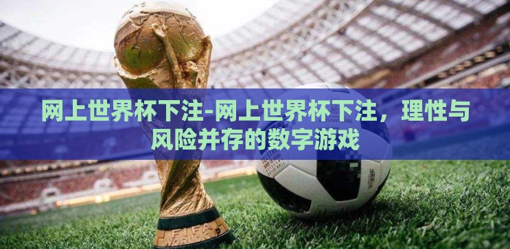 网上世界杯下注-网上世界杯下注,理性与风险并存的数字游戏 网上世界杯下注-网上世界杯下注,理性与风险并存的数字游戏