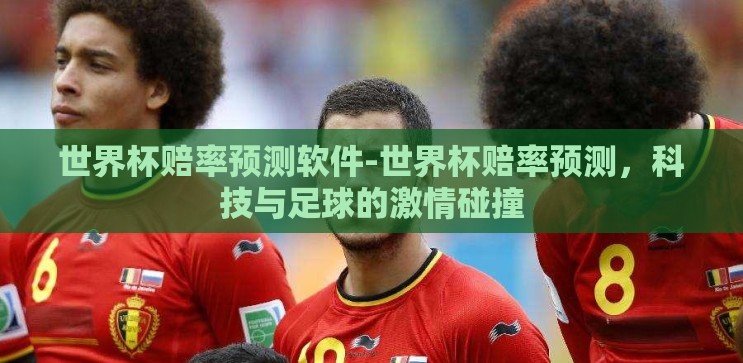 世界杯赔率预测软件-世界杯赔率预测，科技与足球的激情碰撞