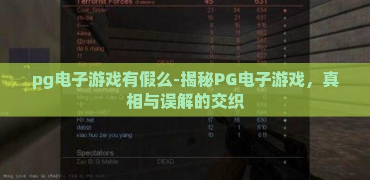 pg电子游戏有假么-揭秘PG电子游戏，真相与误解的交织