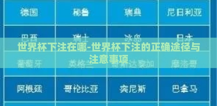 世界杯下注在哪-世界杯下注的正确途径与注意事项