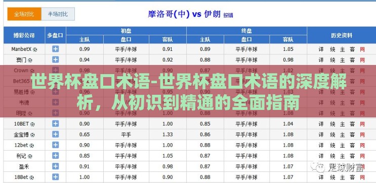 世界杯盘口术语-世界杯盘口术语的深度解析,从初识到精通的全面指南 世界杯盘口术语-世界杯盘口术语的深度解析,从初识到精通的全面指南