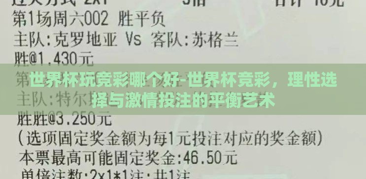 世界杯玩竞彩哪个好-世界杯竞彩，理性选择与激情投注的平衡艺术