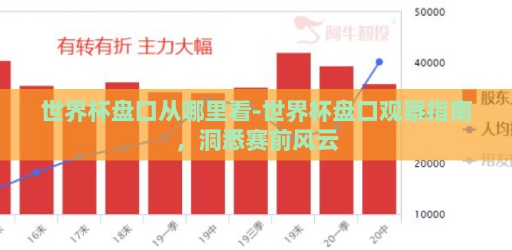世界杯盘口从哪里看-世界杯盘口观察指南,洞悉赛前风云 世界杯盘口从哪里看-世界杯盘口观察指南,洞悉赛前风云