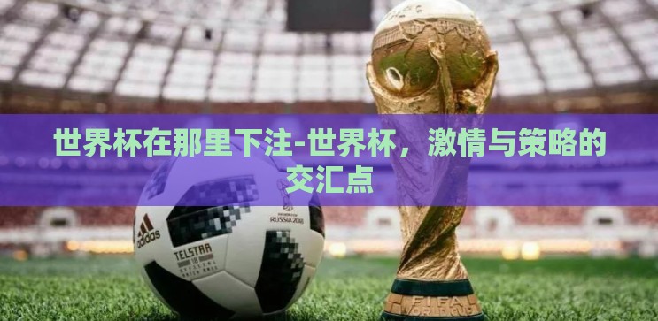 世界杯在那里下注-世界杯,激情与策略的交汇点 世界杯在那里下注-世界杯,激情与策略的交汇点