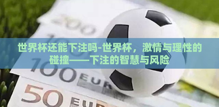 世界杯还能下注吗-世界杯，激情与理性的碰撞——下注的智慧与风险